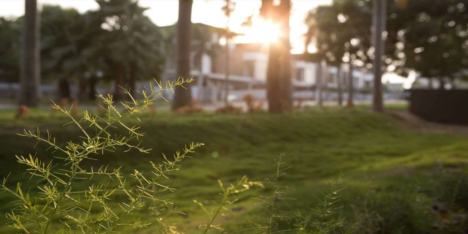 ready to move villas in yelahanka