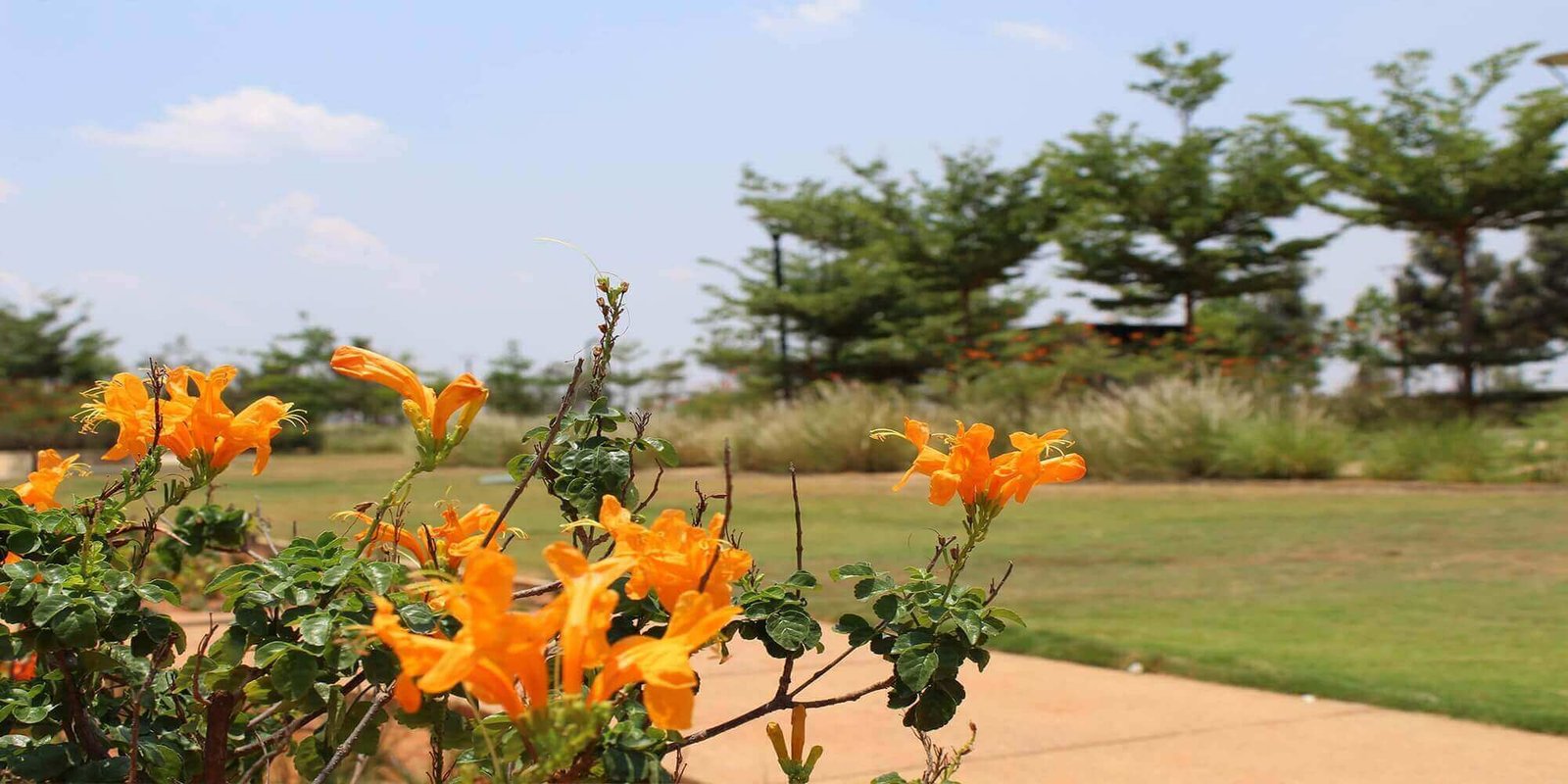 north bangalore plots